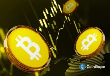 Bitcoin Rich List April 2026: Who Owns the Most BTC Right Now?