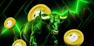 3 Top Reasons Dogecoin Price Is Rocketing Today