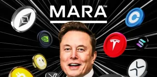 Elon Musk’s X Launches Smart Cashtags for BTC, ETH, XRP, DOGE, MSTR, COIN, Others