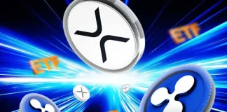 Ex-Ripple Reveals Why XRP Treasury Is Smarter Play Than XRP ETF for Investors