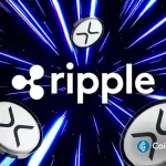 Ripple Prime Gains Issuer Ratings With ‘Strong Capital Position,’ Including XRP Holdings