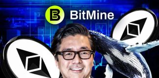 Breaking: Tom Lee’s Bitmine Acquires 40,302 ETH as Whales Double Down On Ethereum