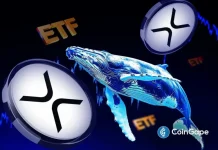XRP Whale Accumulation and ETF Inflows Hit Multi-Month Highs, Analyst Says