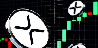 XRP Faces Limited Quantum Exposure With Only 0.03% at Risk: Report