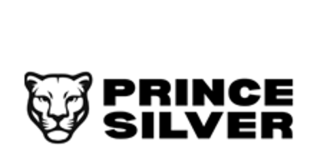 Prince Silver